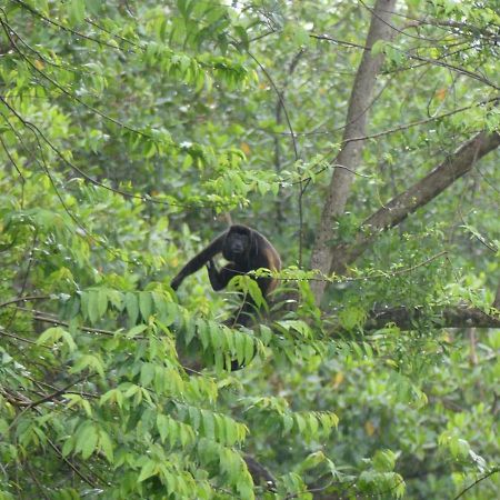 Panama Eco Resort Tierra Oscura Екстер'єр фото