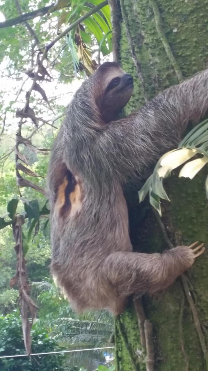 Panama Eco Resort Tierra Oscura Екстер'єр фото
