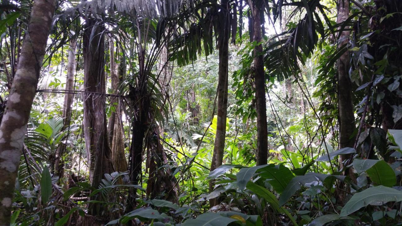 Panama Eco Resort Tierra Oscura Екстер'єр фото