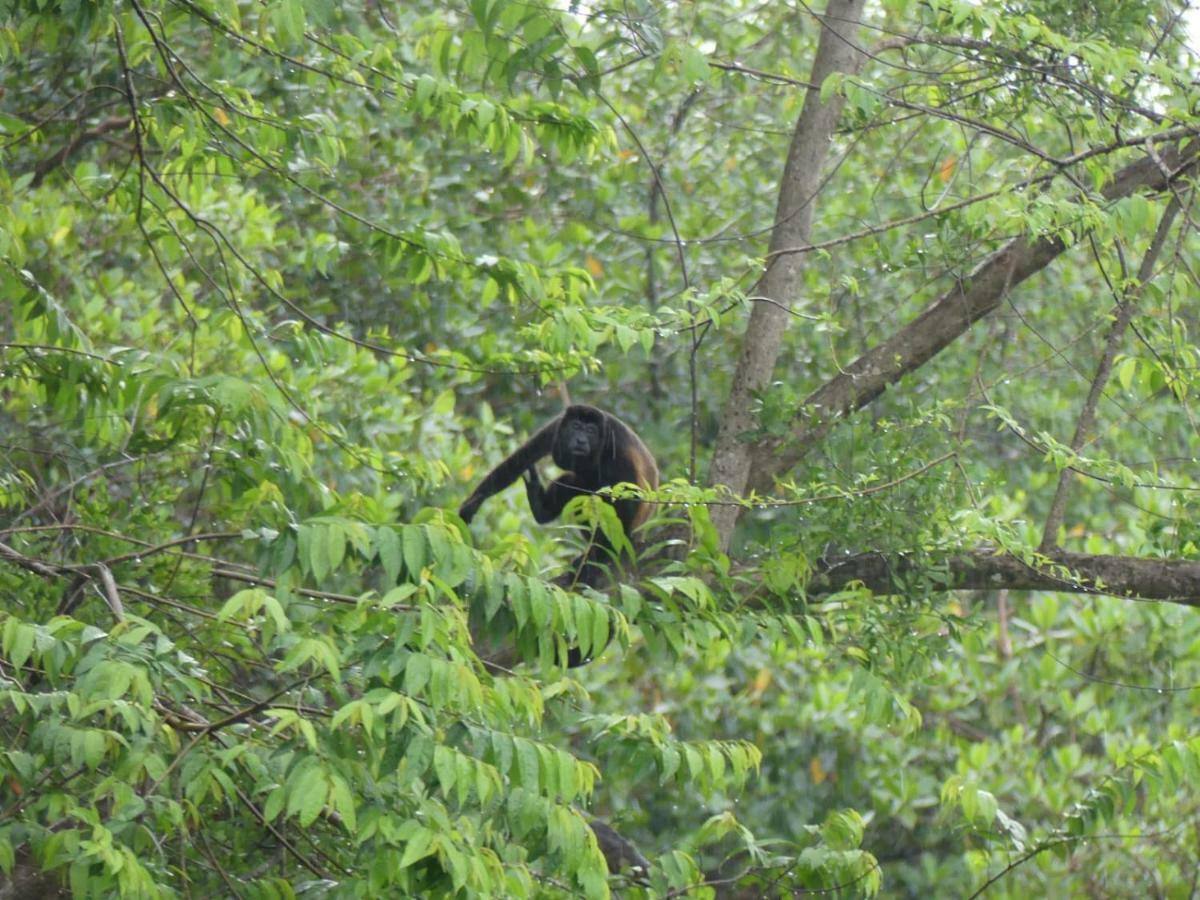 Panama Eco Resort Tierra Oscura Екстер'єр фото