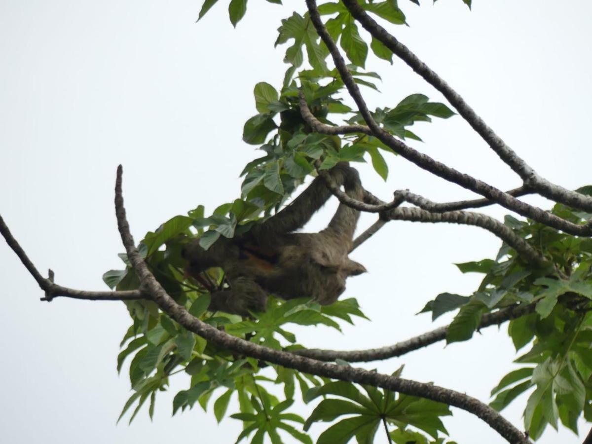 Panama Eco Resort Tierra Oscura Екстер'єр фото